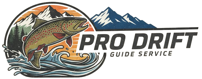 Pro Drift Guide Services